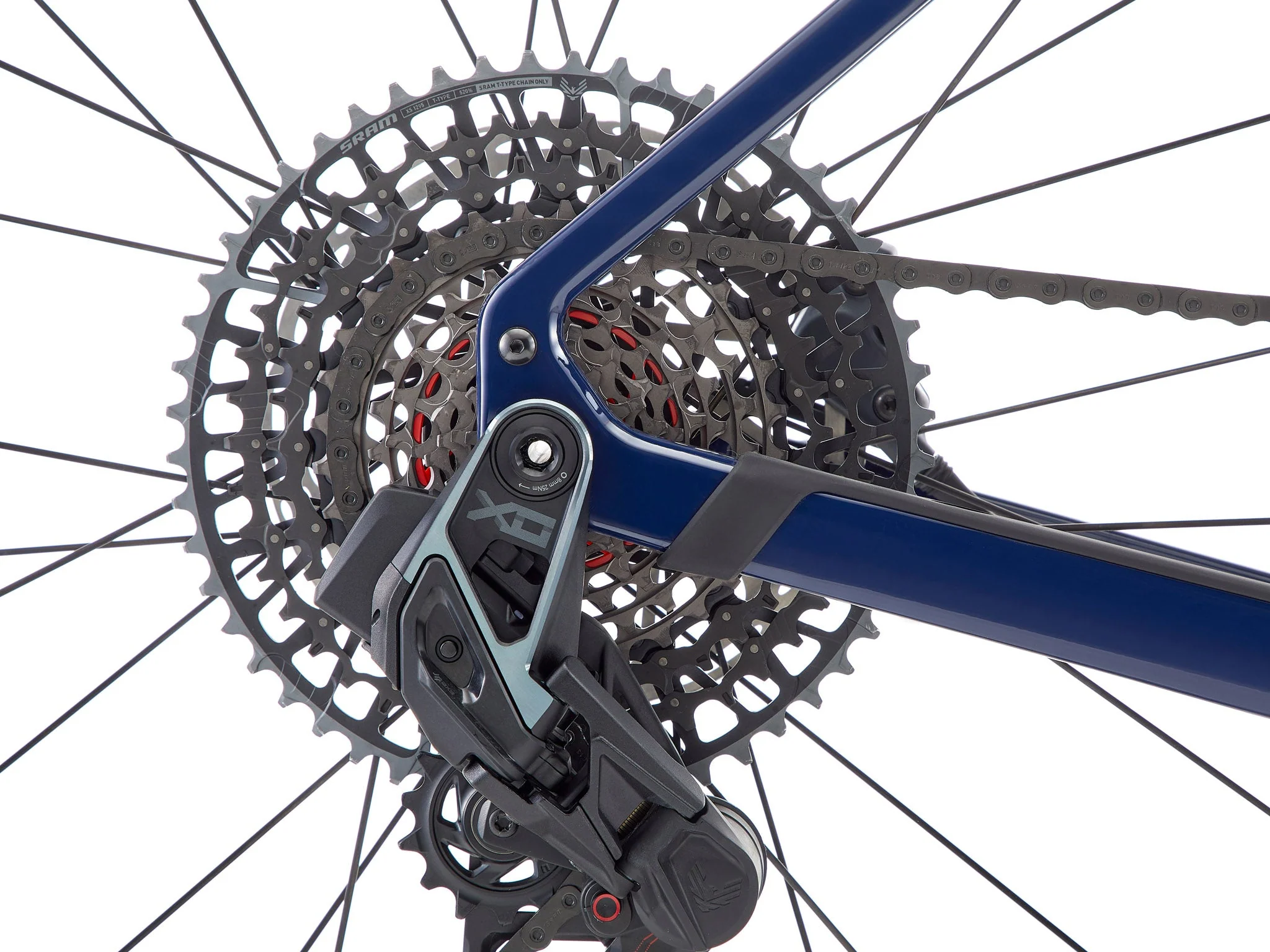 715-ouroboros-supreme-1.webp