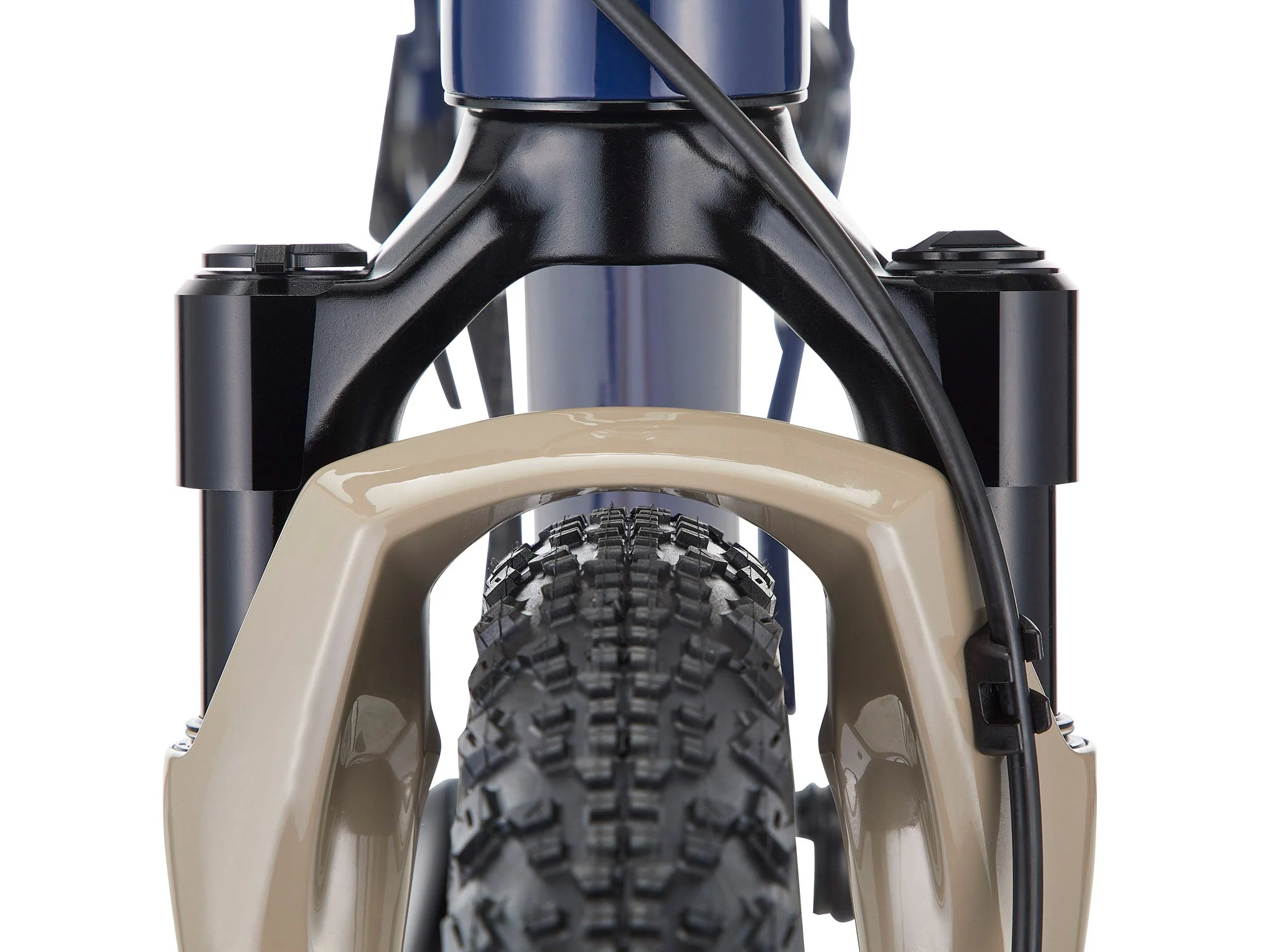 715-ouroboros-supreme-1.webp